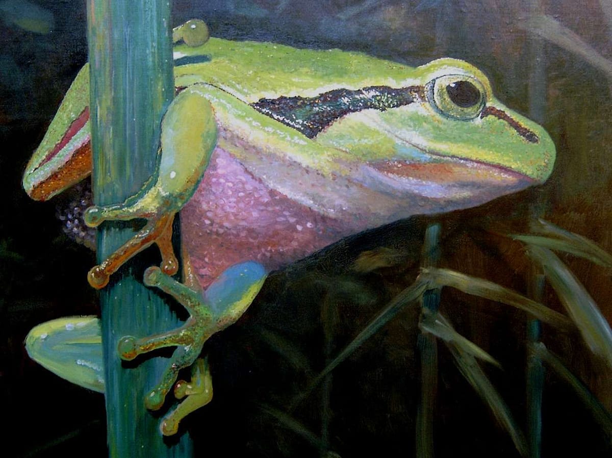 Der Laubfrosch, Gemälde aus 1995 von Martin Eller